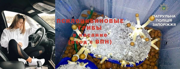 мет Магас
