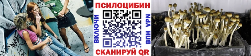 Псилоцибиновые грибы GOLDEN TEACHER  KRAKEN как зайти  Усть-Кут 