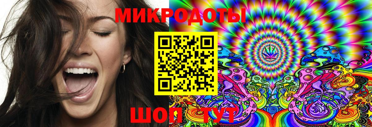 Усть-Кут  даркнет сайт  Вход с VPN  Галлюциногенные грибы Psilocybe 